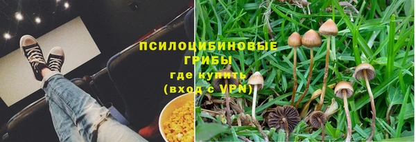 дживик Абаза